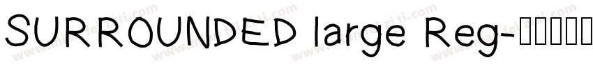 SURROUNDED large Reg字体转换
